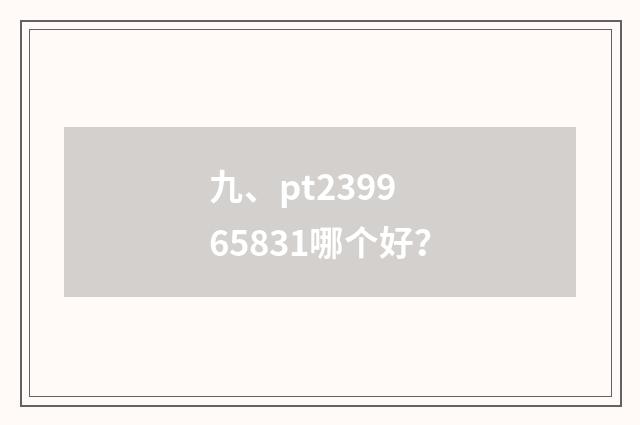 九、pt2399 65831哪个好？