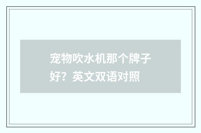宠物吹水机那个牌子好？英文双语对照