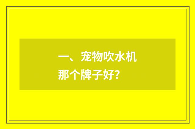 一、宠物吹水机那个牌子好？