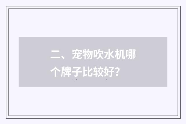 二、宠物吹水机哪个牌子比较好？