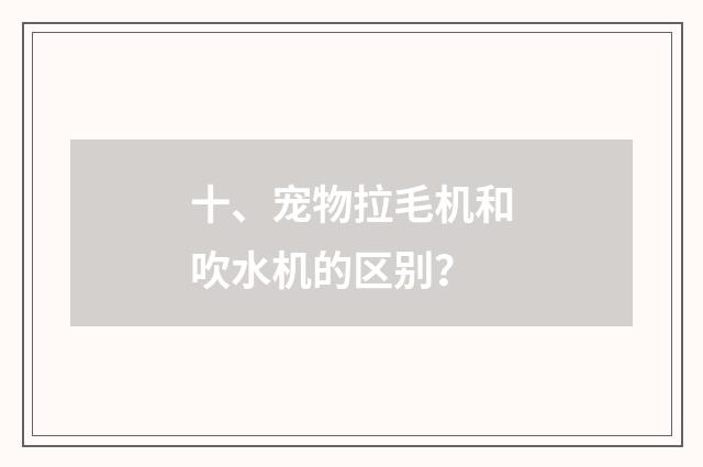 十、宠物拉毛机和吹水机的区别？