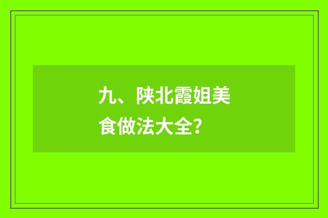 九、陕北霞姐美食做法大全？