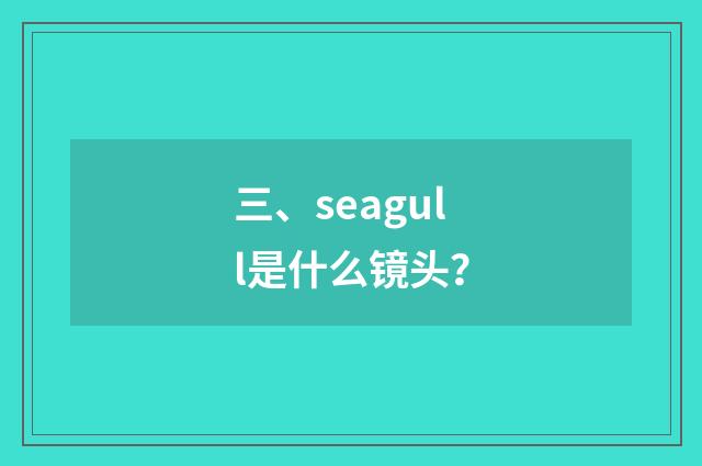 三、seagull是什么镜头？