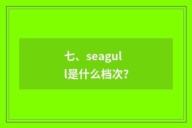 七、seagull是什么档次？