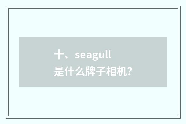 十、seagull是什么牌子相机？
