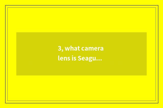 3, what camera lens is Seagull?