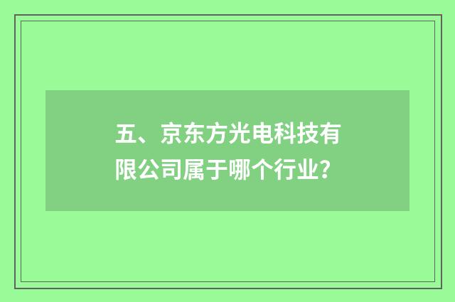 五、京东方光电科技有限公司属于哪个行业？