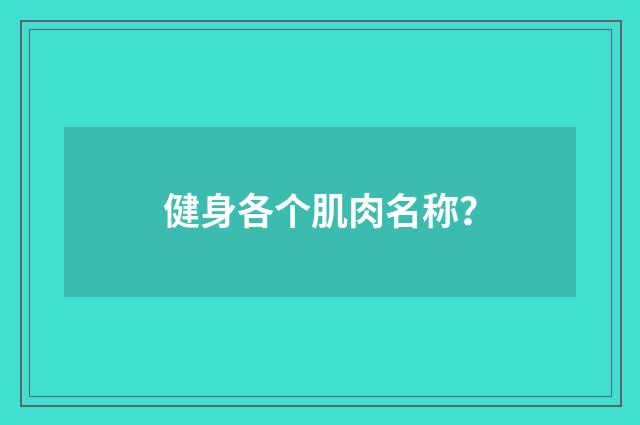 健身各个肌肉名称？