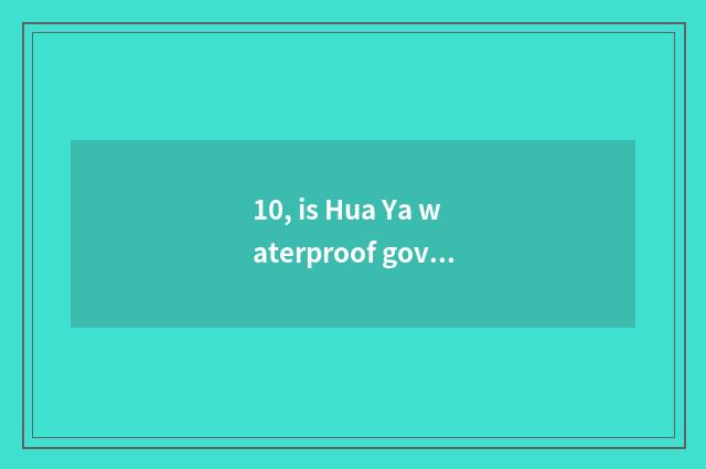 10, is Hua Ya waterproof government-owned net?