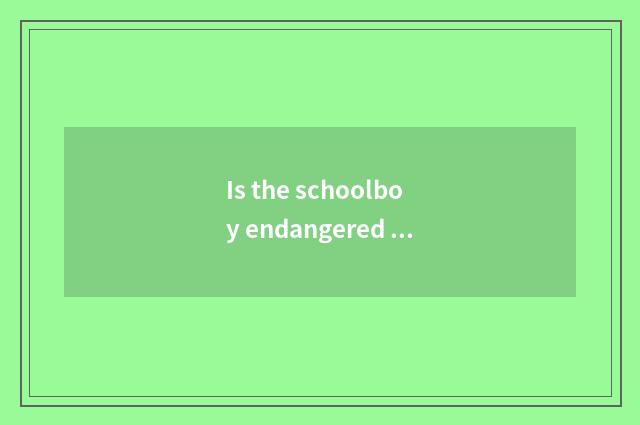 Is the schoolboy endangered in what bar goes to work?