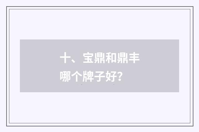十、宝鼎和鼎丰哪个牌子好？