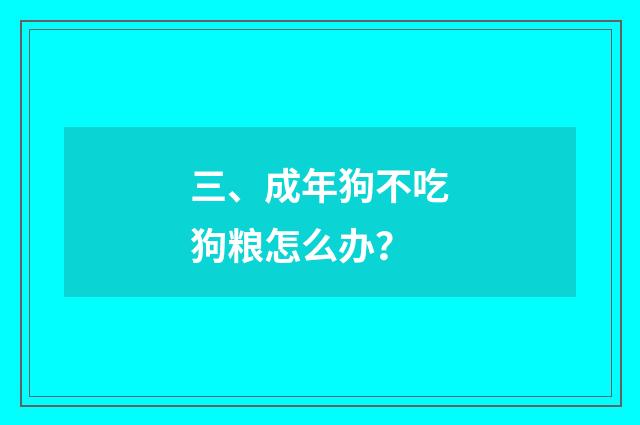 三、成年狗不吃狗粮怎么办？