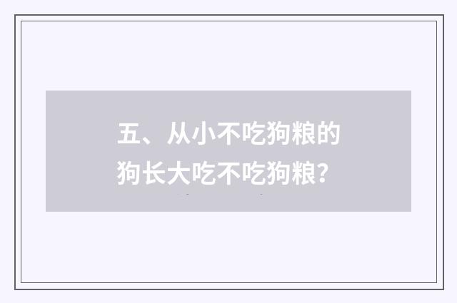 五、从小不吃狗粮的狗长大吃不吃狗粮？