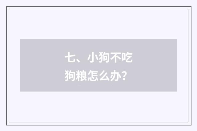 七、小狗不吃狗粮怎么办？