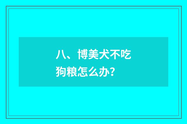 八、博美犬不吃狗粮怎么办？