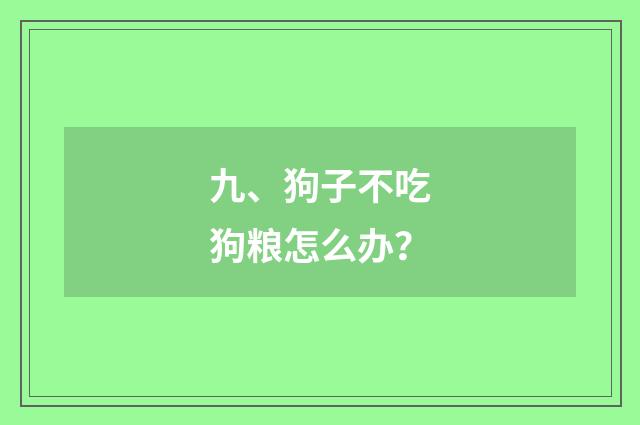 九、狗子不吃狗粮怎么办？