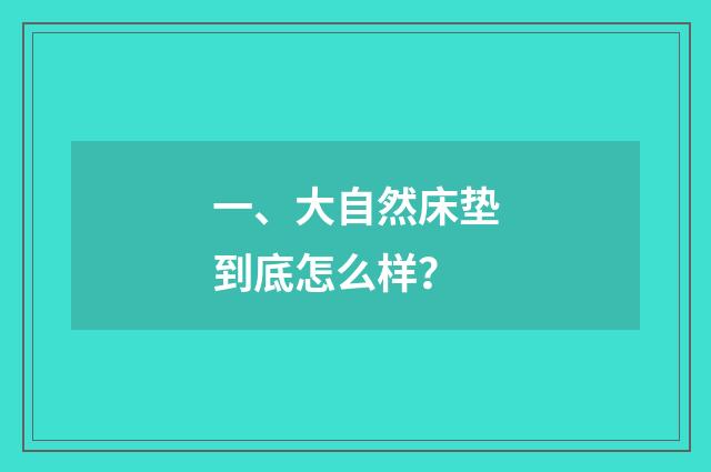 一、大自然床垫到底怎么样？