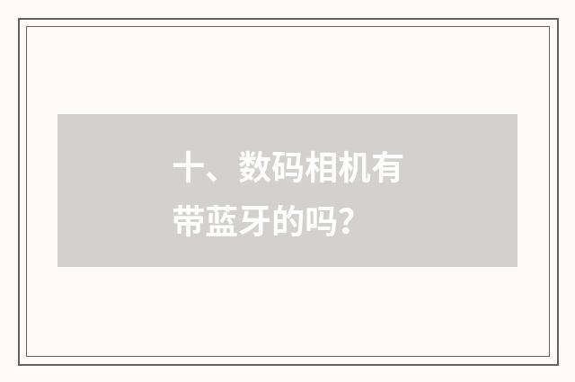 十、数码相机有带蓝牙的吗？