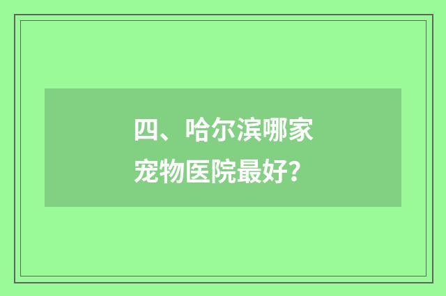 四、哈尔滨哪家宠物医院最好？