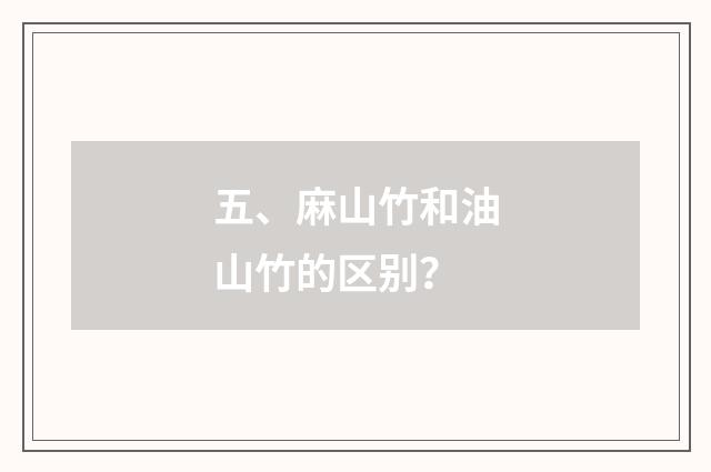 五、麻山竹和油山竹的区别？