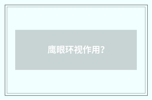 鹰眼环视作用？