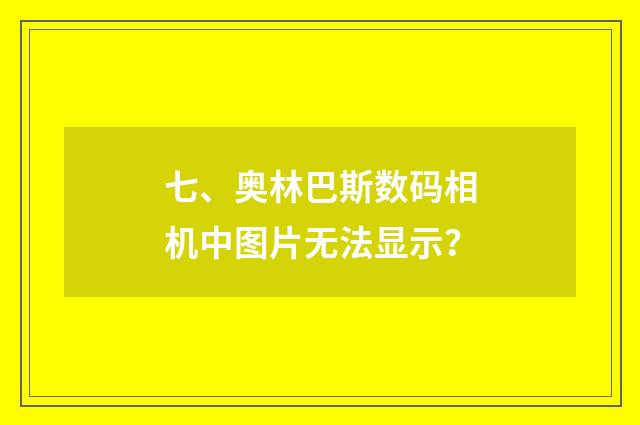 七、奥林巴斯数码相机中图片无法显示？