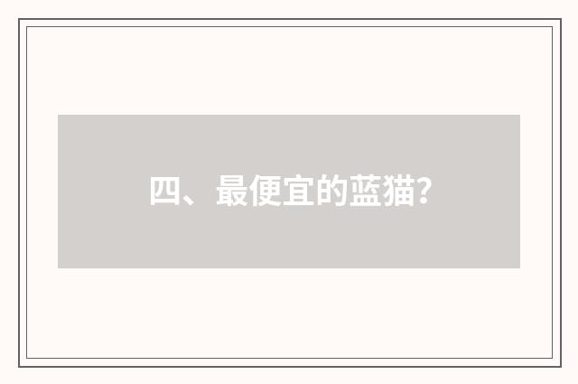 四、最便宜的蓝猫？