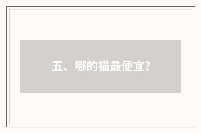 五、哪的猫最便宜？