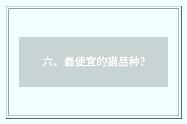 六、最便宜的猫品种？