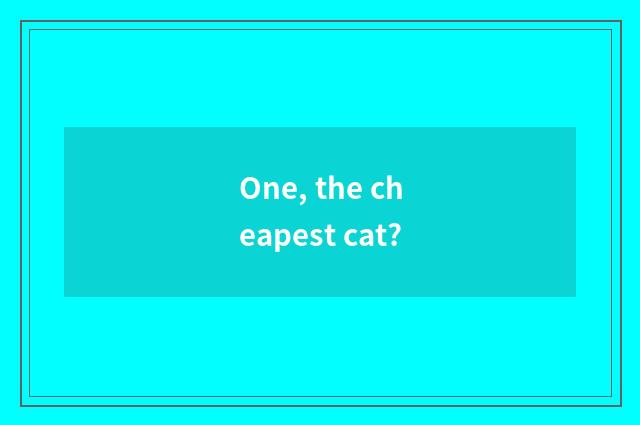 One, the cheapest cat?
