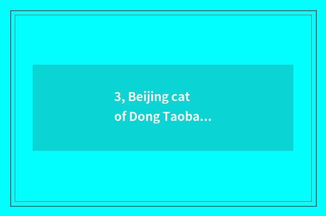 3, Beijing cat of Dong Taobao day which mobile phone is the cheapest?