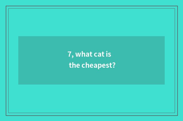 7, what cat is the cheapest?