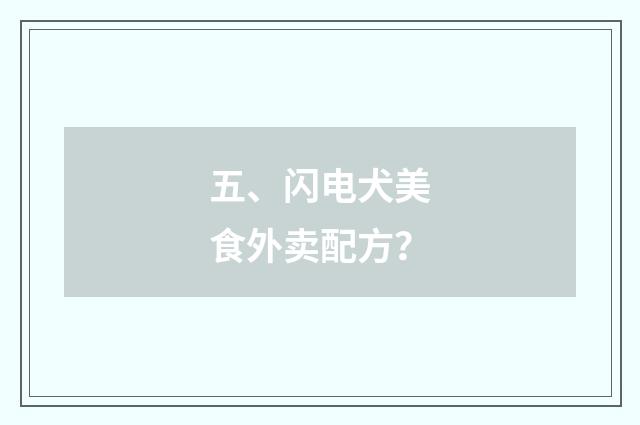 五、闪电犬美食外卖配方？