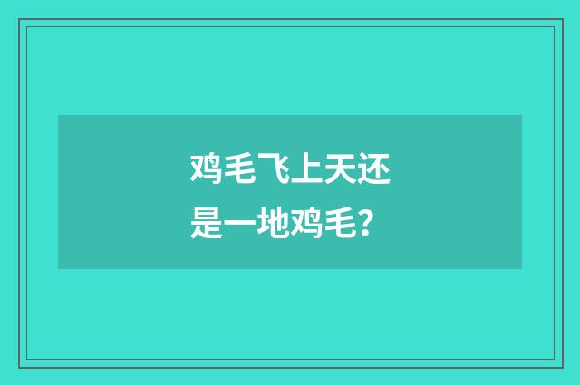 鸡毛飞上天还是一地鸡毛？