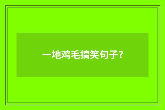 一地鸡毛搞笑句子？