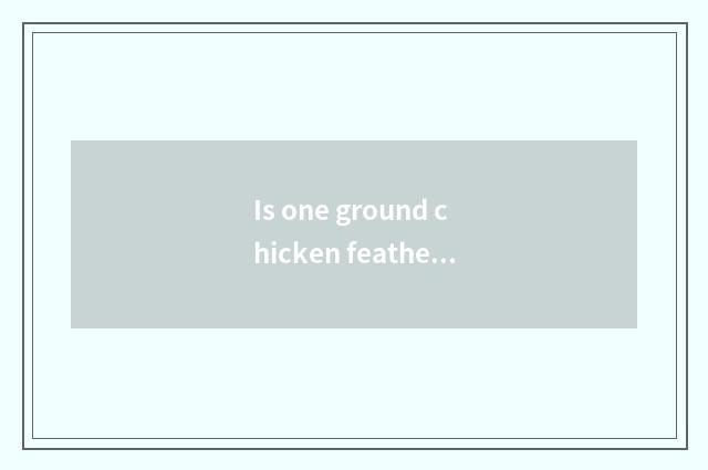 Is one ground chicken feather textual?