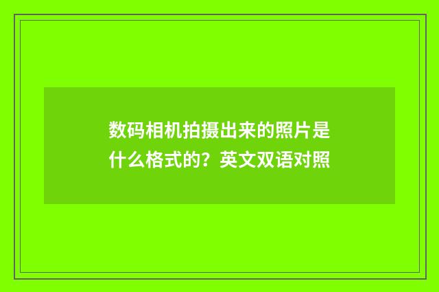 数码相机拍摄出来的照片是什么格式的？英文双语对照