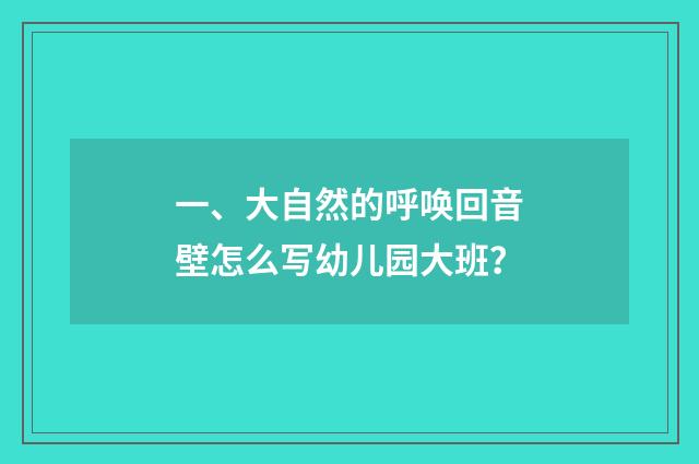 一、大自然的呼唤回音壁怎么写幼儿园大班？