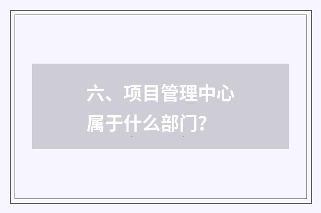六、项目管理中心属于什么部门？