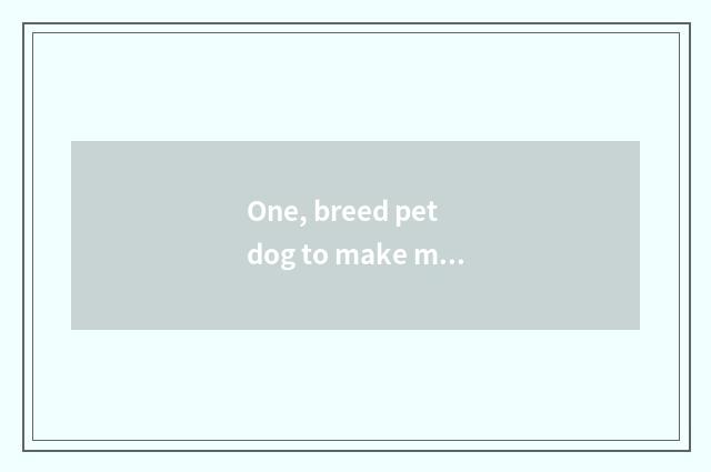 One, breed pet dog to make money?