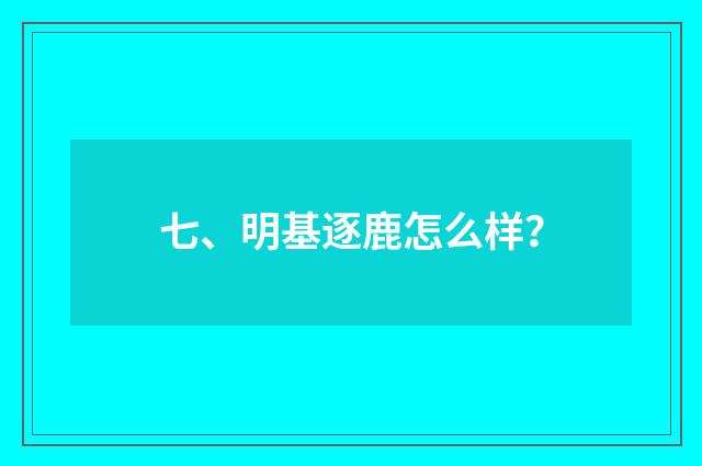 七、明基逐鹿怎么样？
