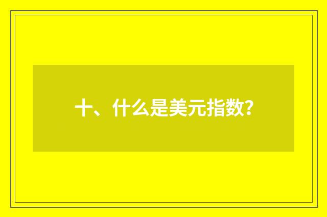 十、什么是美元指数？