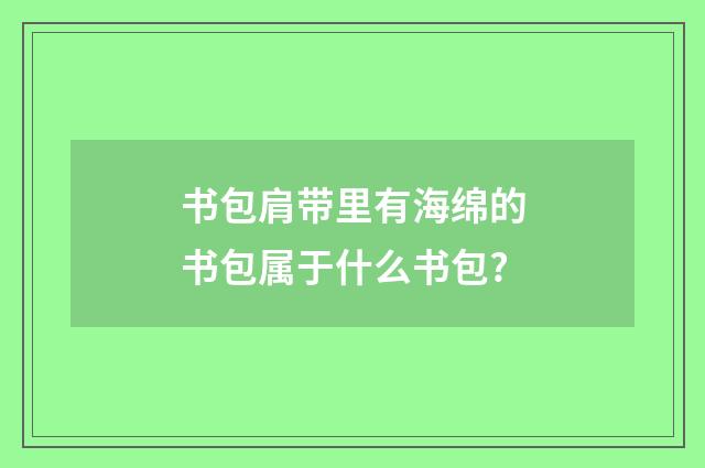 书包肩带里有海绵的书包属于什么书包?