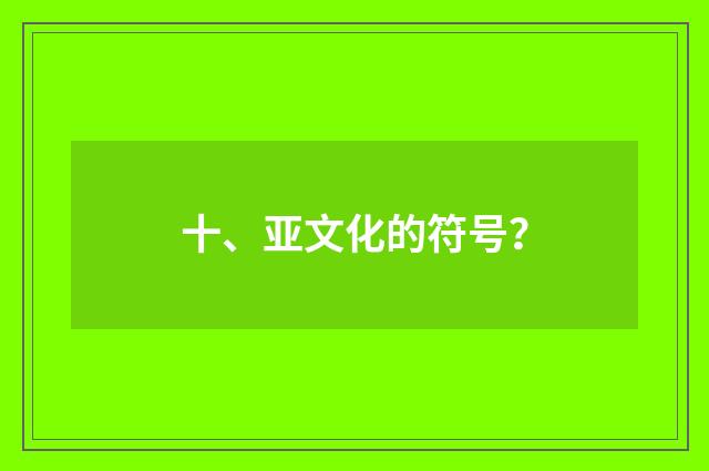十、亚文化的符号？