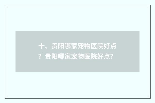 十、贵阳哪家宠物医院好点？贵阳哪家宠物医院好点？