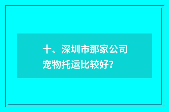 十、深圳市那家公司宠物托运比较好？