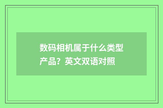 数码相机属于什么类型产品？英文双语对照