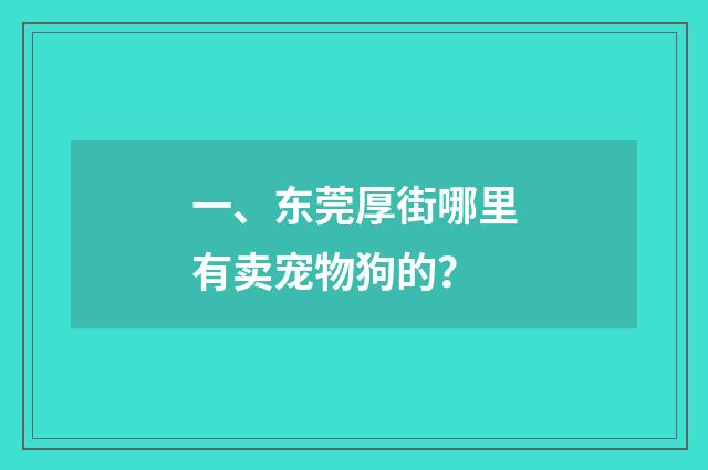 一、东莞厚街哪里有卖宠物狗的？