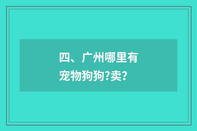 四、广州哪里有宠物狗狗?卖？