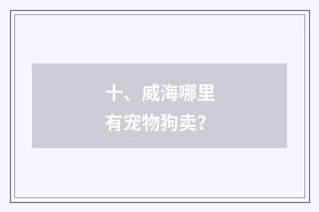 十、威海哪里有宠物狗卖？